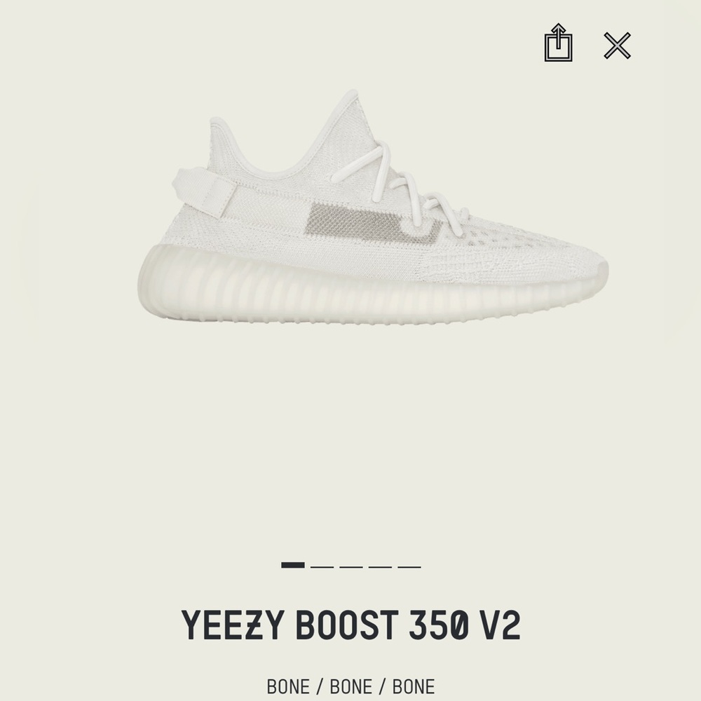 Yeezy Boost 350 V2
